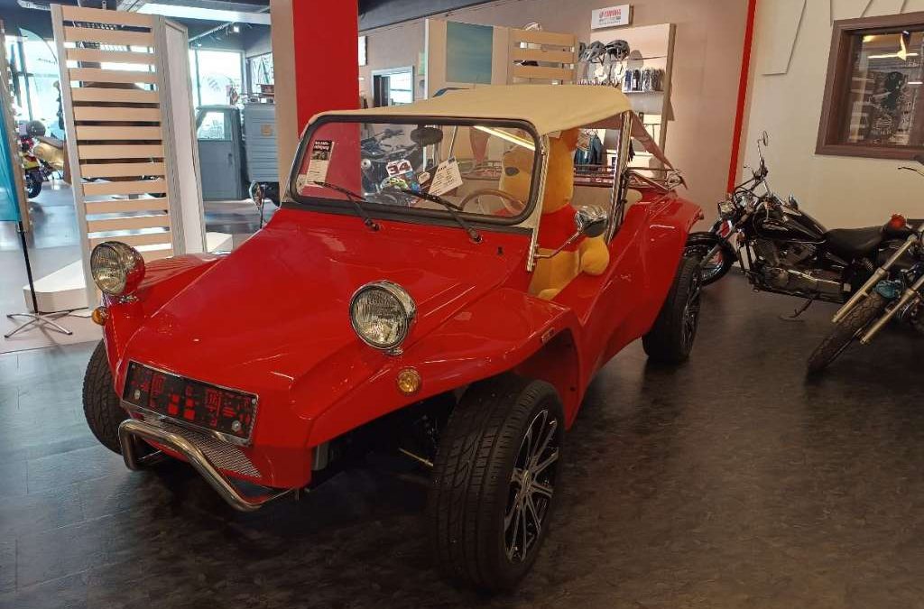 Buggy Vintage 1100